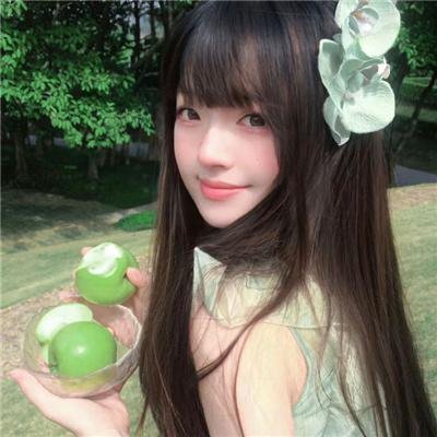 吉什岛的故事